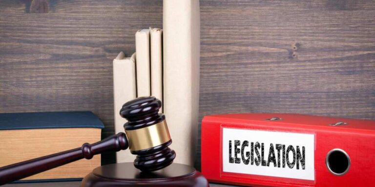 House GOP Unveils Bill to Ban Citizenship for Illegals—For Good