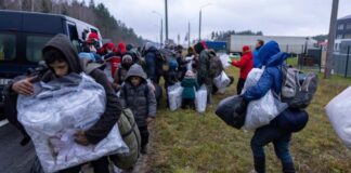 Djordje Kostic / Shutterstock.com