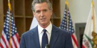 Sheila Fitzgerald / Shutterstock.com