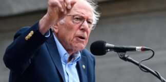 OogImages / Shutterstock.com